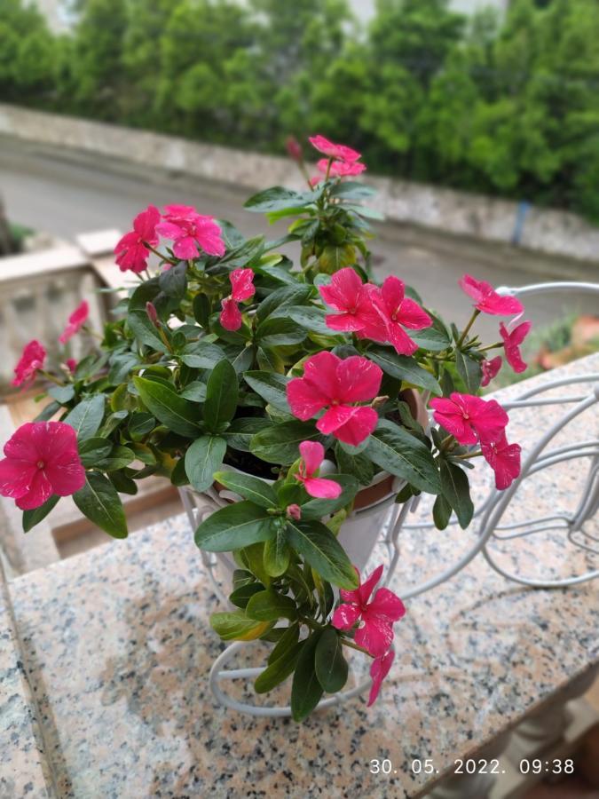 Apartment Sara Новий Винодольський Екстер'єр фото